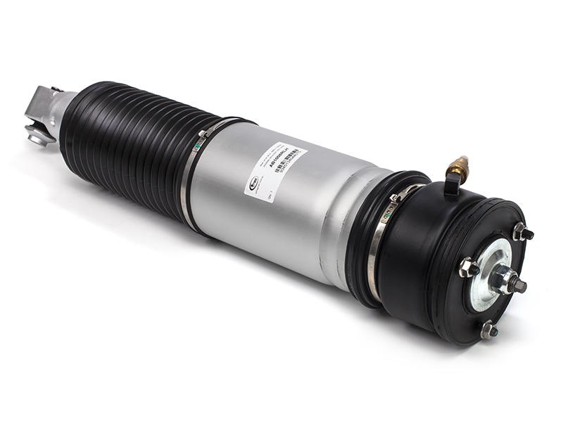 Air Spring Strut Replacement BMW