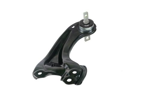 Rear  Trailing Arm Lower - Arm Assembly-Left