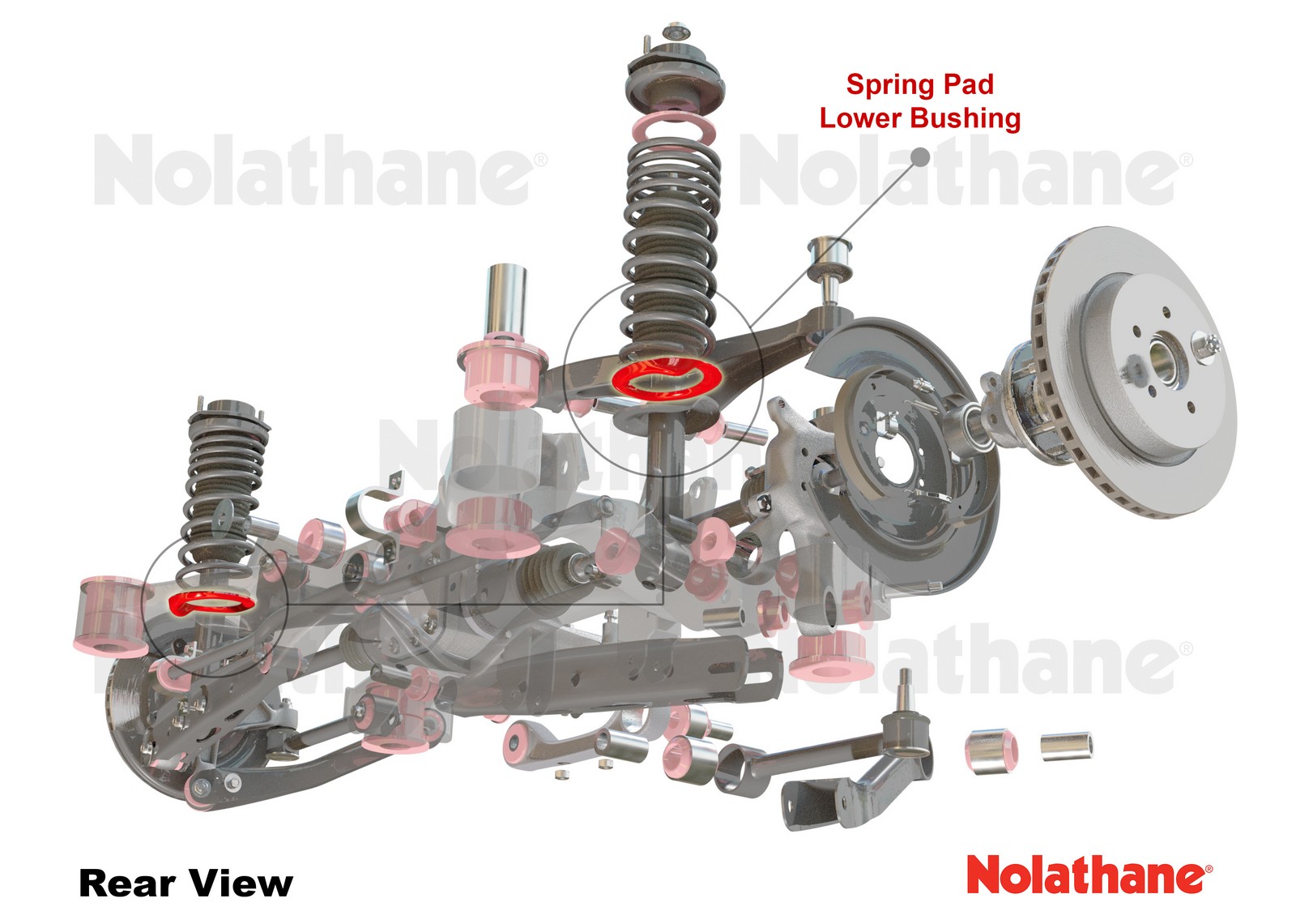 Rear Lower Coil Spring Pad +10mm Ride Height to Suit BMW 3 Series, M3, Z4 E36, E46, Holden Commodore VN-VZ and HSV