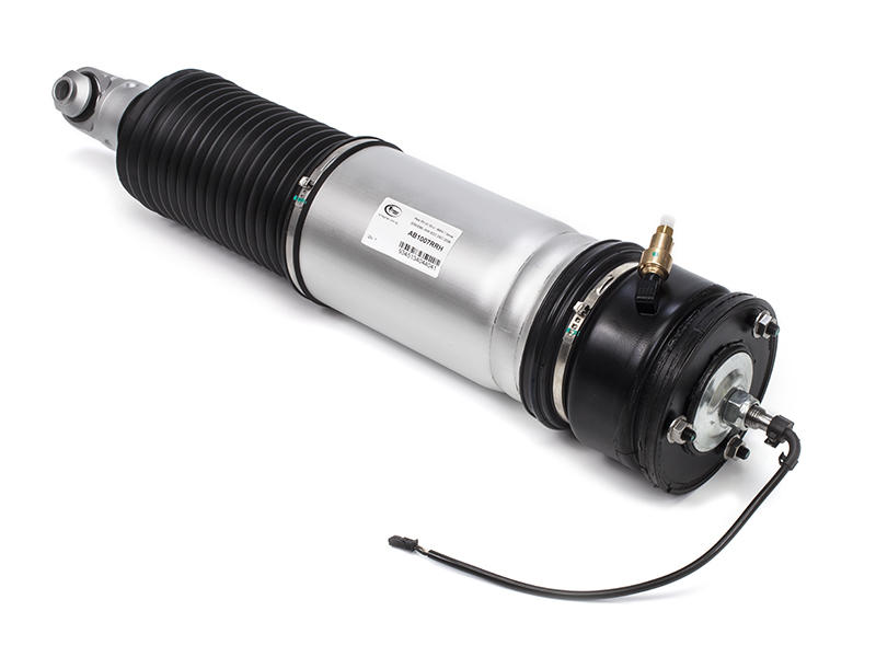 Air Spring Strut Replacement BMW