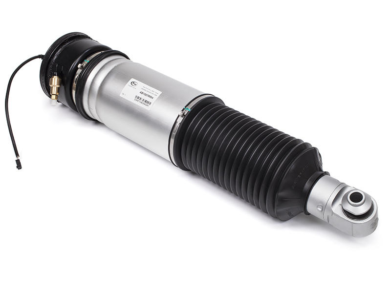 Air Spring Strut Replacement BMW