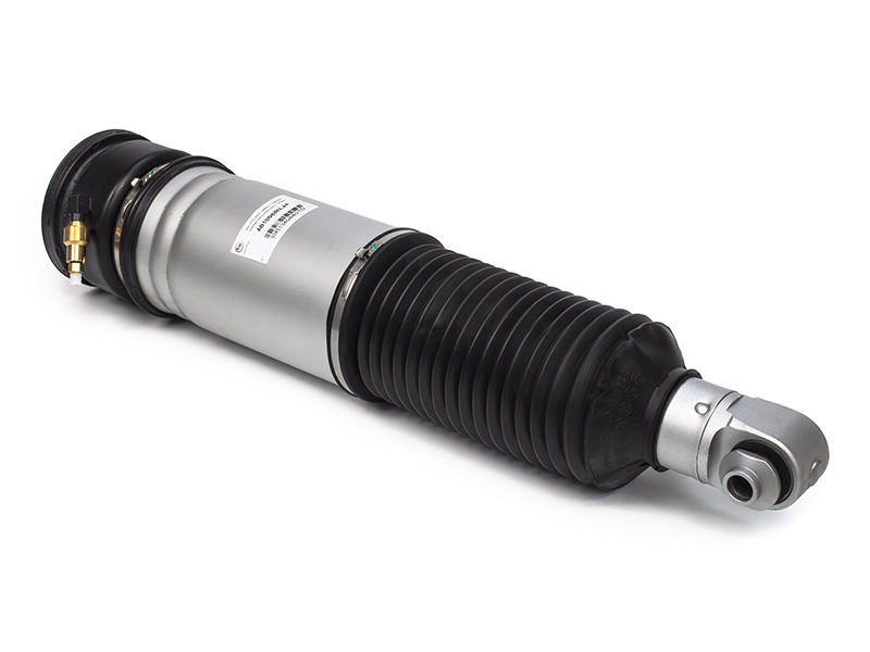 Air Spring Strut Replacement BMW