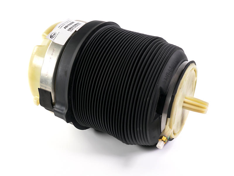 Rear Air Spring Audi C6 A6 & A6 Quattro