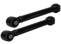 Front  Trailing Arm Lower - Arm Assembly