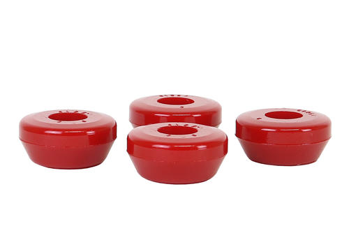 Rear  Trailing Arm Lower - Front Bushing Kit