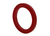 Rear  Coil Spring Pad - Bushing Kit