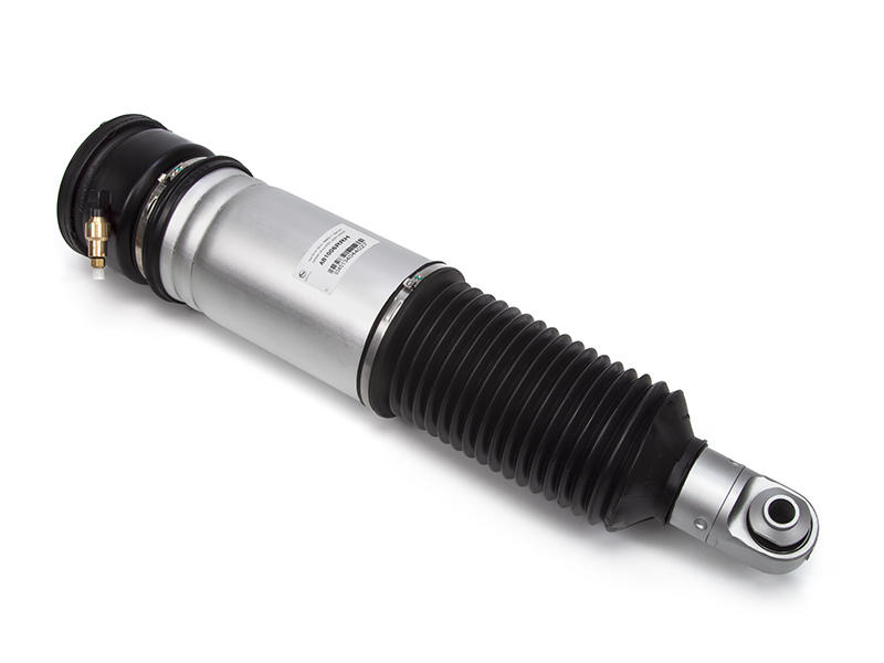 Air Spring Strut Replacement BMW