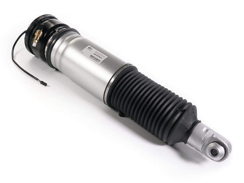 Air Spring Strut Replacement BMW